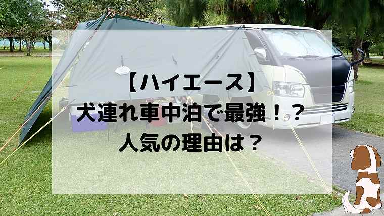 広さは正義 ハイエースが犬連れ車中泊旅では最強 人気の理由を考える 愛犬との車選び ホビラジ